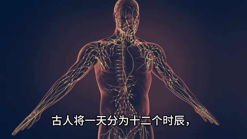 子午流注-十二时辰养生法